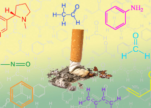 Nico zero blocks the absorption ability of the receptors to nicotine